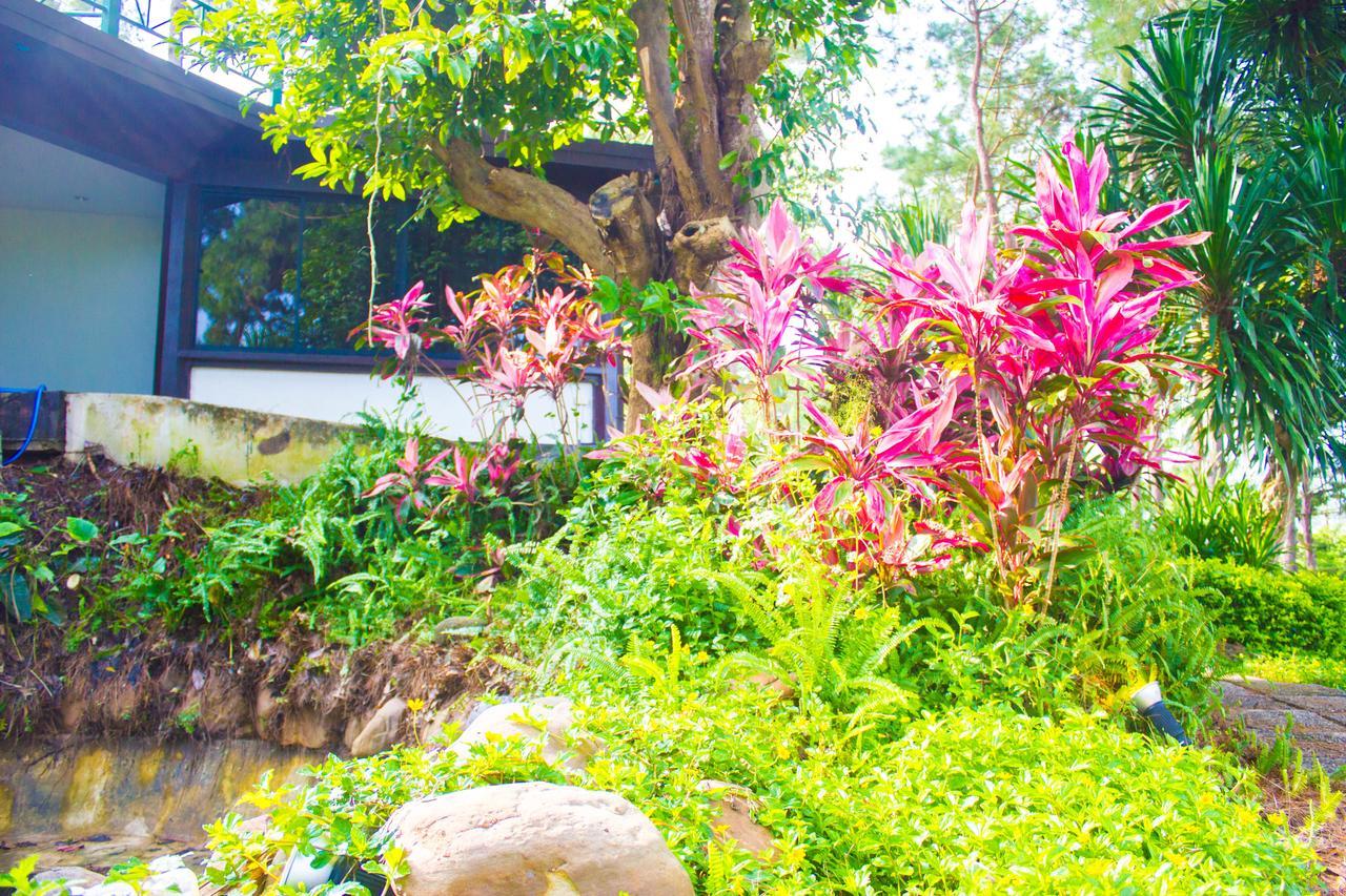 Bird Land Resort Khao Kho Zewnętrze zdjęcie