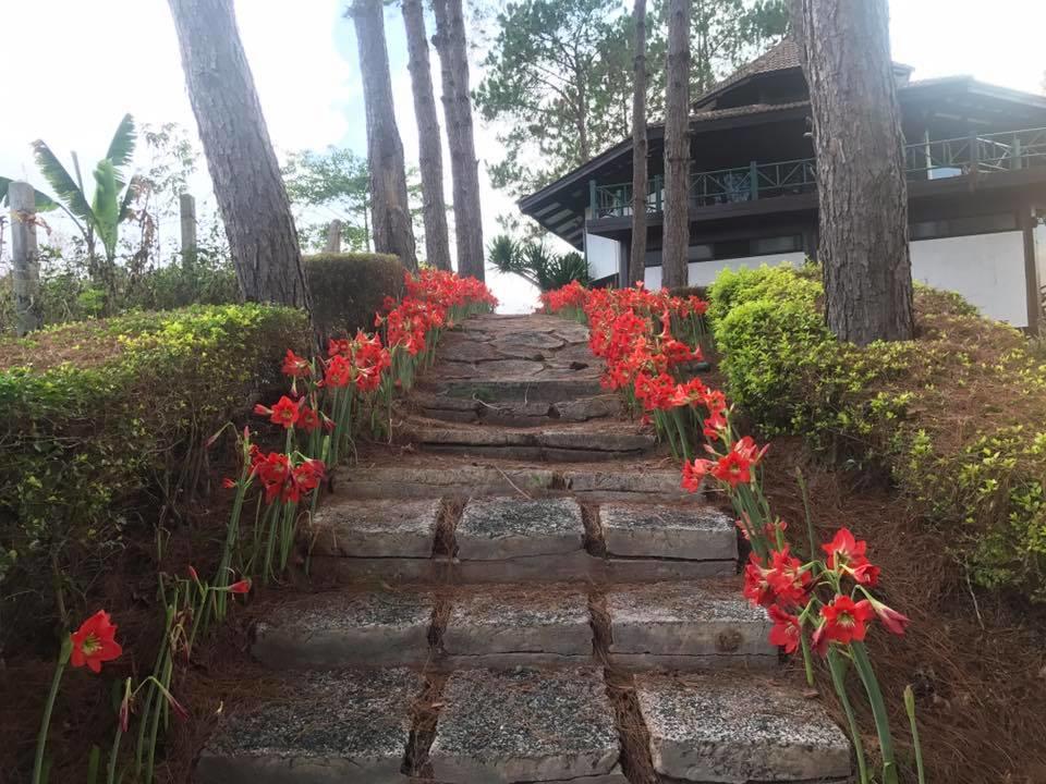 Bird Land Resort Khao Kho Zewnętrze zdjęcie